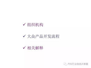 上海大众产品开发流程 聚焦软件开发的实践与创新